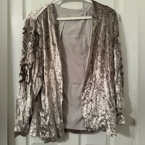 Silver Velvet Embroidered Sleeve Open Jacket